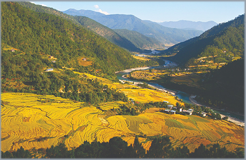 Punakha